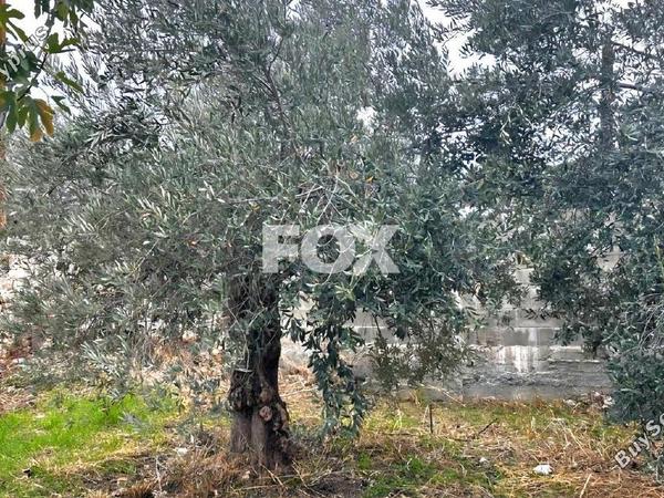 plot for sale silikou limassol 8981861 image 17945258