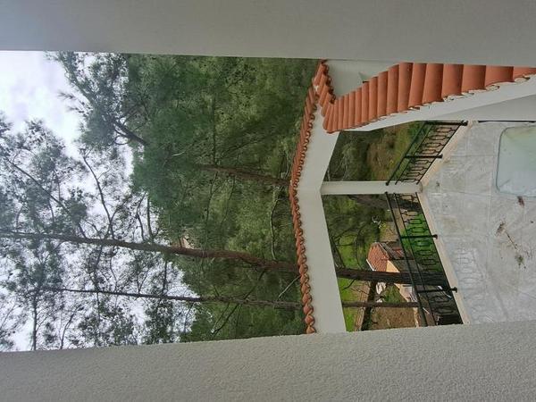 3 bedroom detached house rented moniatis limassol 8396961 image 15029847