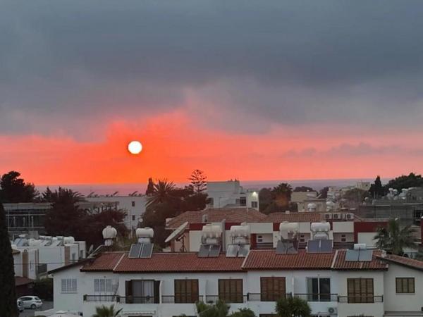 1 bedroom apartment for rent kato paphos paphos 8898071 image 17357092