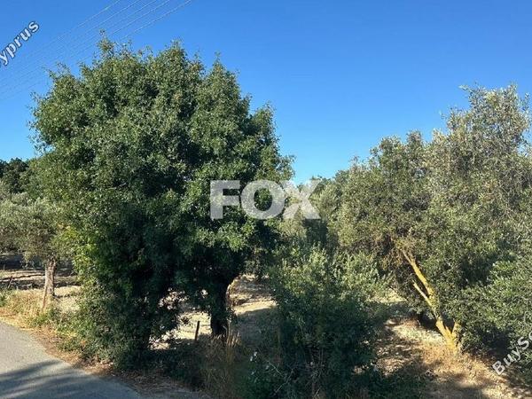 land for sale polemi paphos 1842071 image 10048328