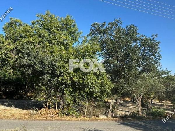 land for sale polemi paphos 1842071 image 10048330