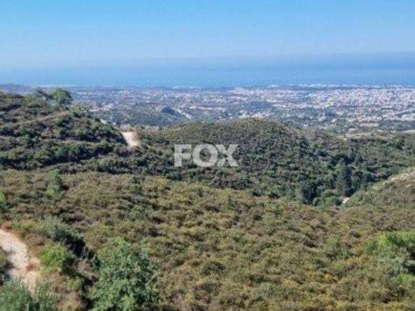 land for sale tsada paphos 1160071 image 5535754