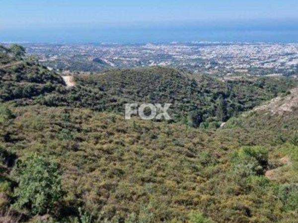 land for sale tsada paphos 1160071 image 5535757