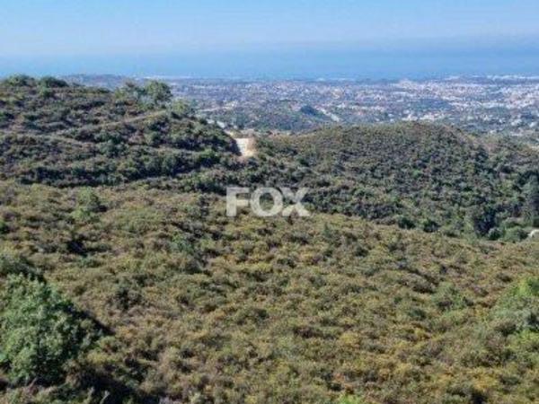 land for sale tsada paphos 1160071 image 5535759