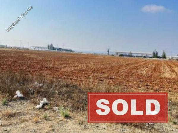 land sold kokkinotrimithia nicosia 1733071 image 4669676