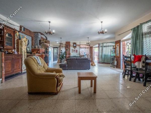 studio restaurant for sale tombs of the kings paphos 8382171 image 14703189