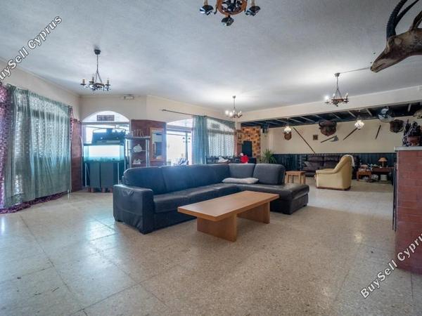 studio restaurant for sale tombs of the kings paphos 8382171 image 14703241