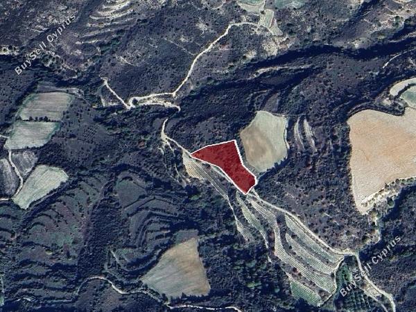 land for sale dora limassol 8926271 image 17614411