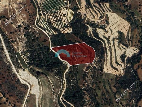 land for sale drousia paphos 8537271 image 16020698