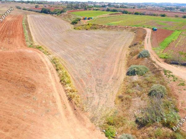 land for sale ormideia larnaca 7906271 image 11435710