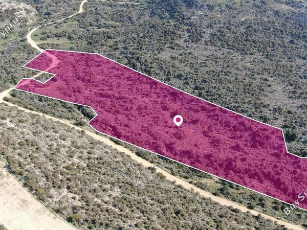 land for sale psematismenos larnaca 8629271 image 15867023