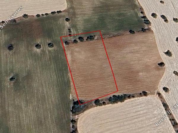 land for sale anglisides larnaca 7953371 image 13158596