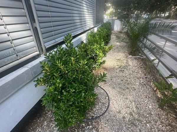 3 bedroom apartment for rent strovolos nicosia 8716471 image 16683314