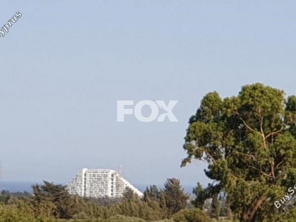 3 bedroom bungalow for rent ypsonas limassol 1147471 image 14867220