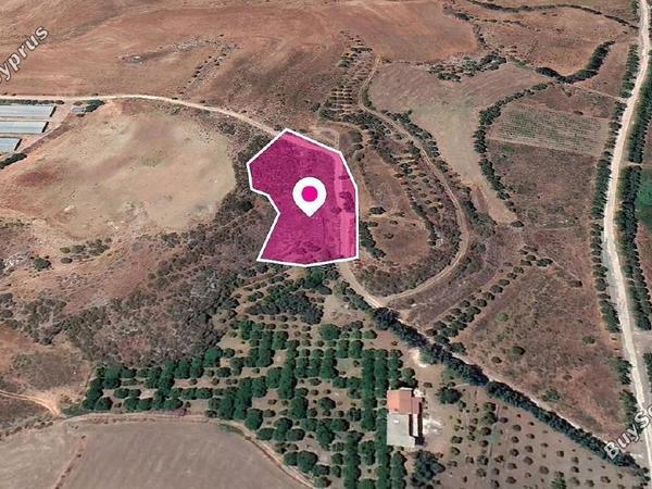 land for sale agia varvara paphos 1897471 image 14205809