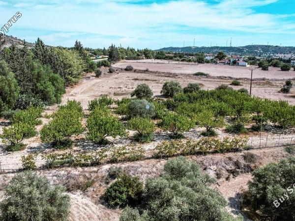 land for sale alethriko larnaca 1536471 image 5654741