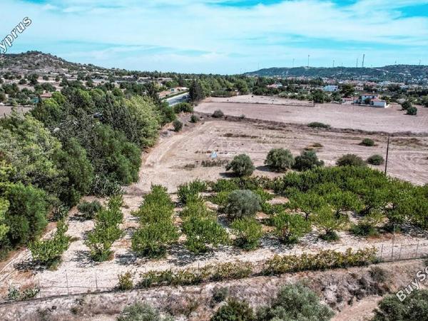 land for sale alethriko larnaca 1536471 image 5654745