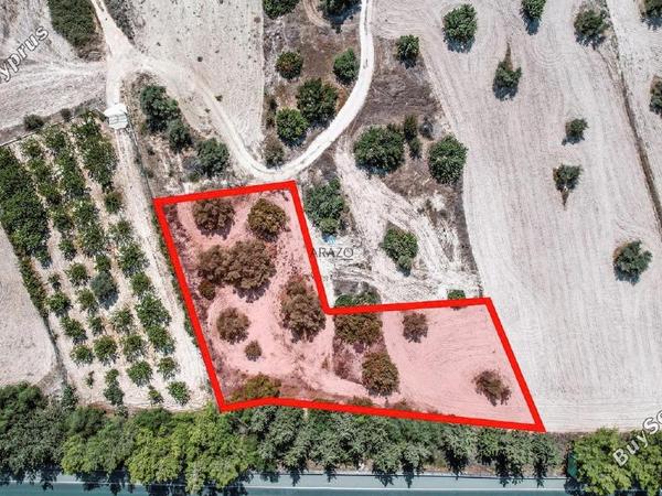 land for sale alethriko larnaca 1536471 image 5654761