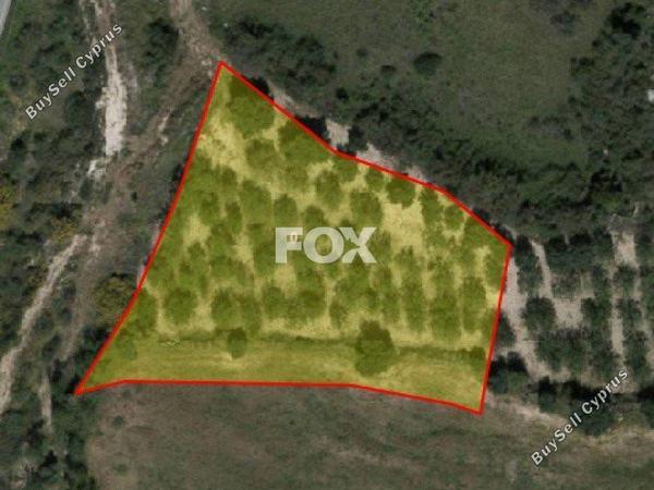 land for sale drousia paphos 1159471 image 10029595