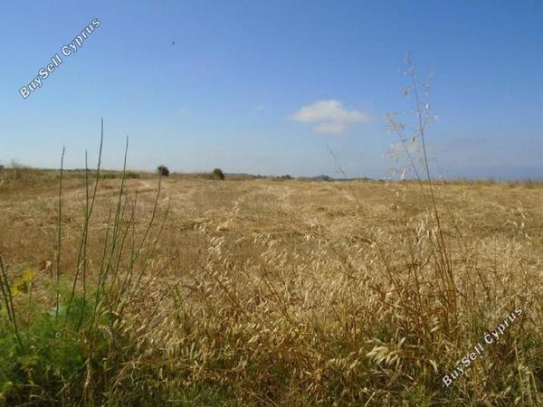 land for sale kathikas paphos 1355571 image 5637282