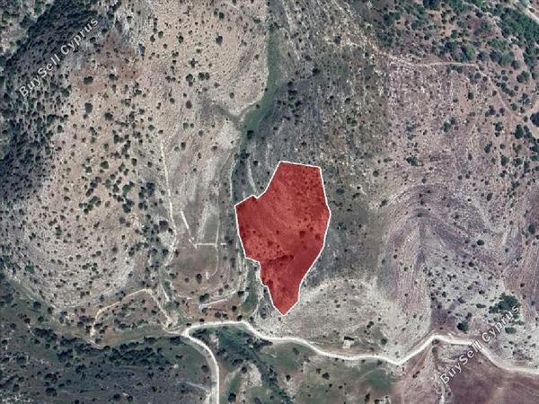 land for sale nata paphos 826571 image 15599576