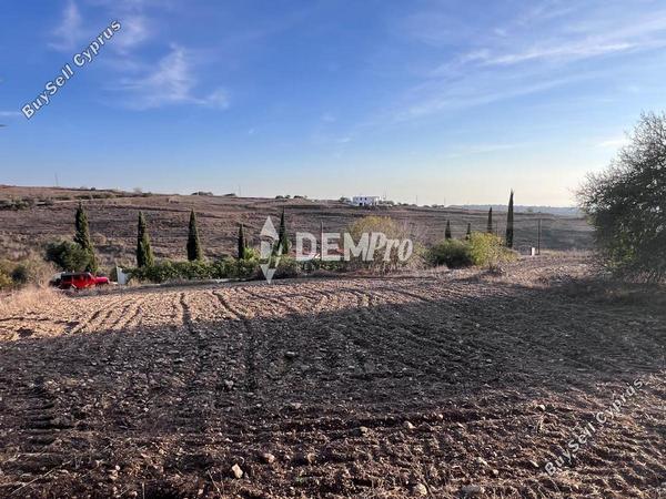 land for sale pano arodes paphos 7833571 image 12685453