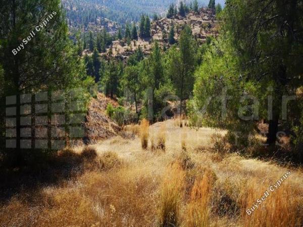 plot for sale agios theodoros soleas nicosia 7871571 image 11381569