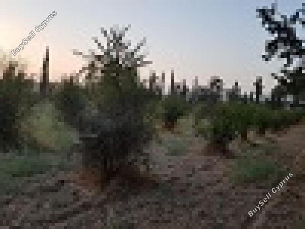 land for sale aradippou larnaca 1154671 image 16254160