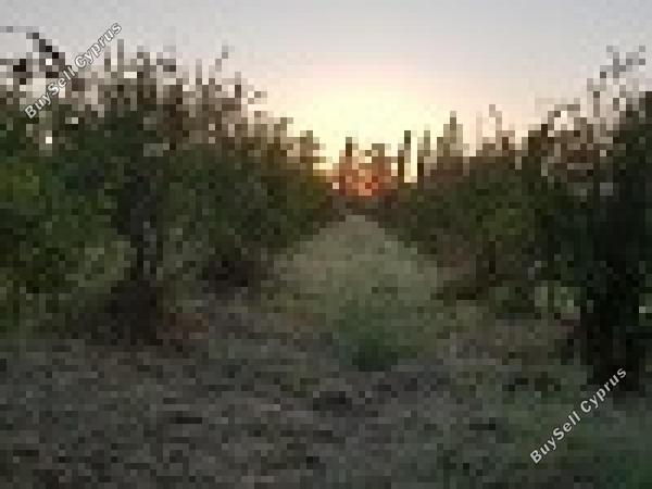land for sale aradippou larnaca 1154671 image 16254162
