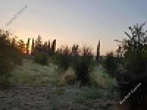 land for sale aradippou larnaca 1154671 image 16254164