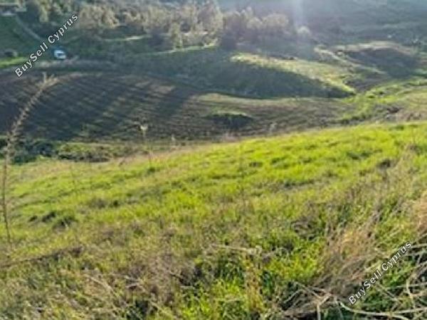land for sale choletria paphos 945671 image 17102722