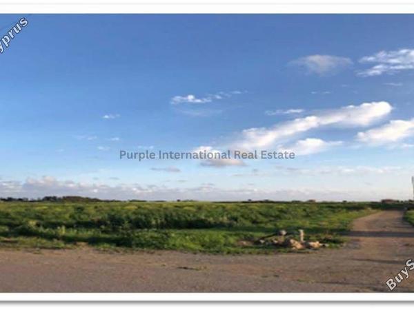 land for sale mandria pafou paphos 7545671 image 10303454