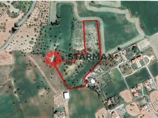 land for sale mazotos larnaca 1500671 image 6317409