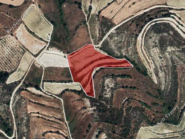 land for sale pachna limassol 8785671 image 16656214