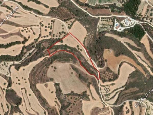 land for sale skoulli paphos 8630671 image 16210600
