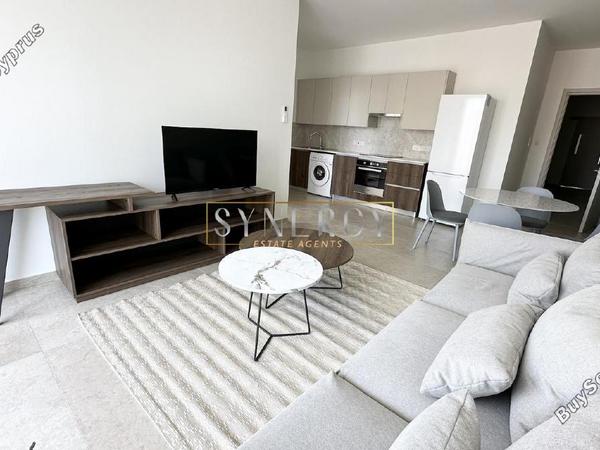 1 bedroom apartment for rent makedonitissa nicosia 8291771 image 16339230