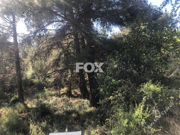 land for sale pera pedi limassol 1147771 image 5546316