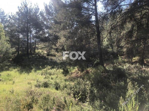 land for sale pera pedi limassol 1147771 image 5546318