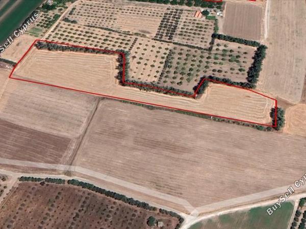 land for sale timi paphos 7738771 image 12564027