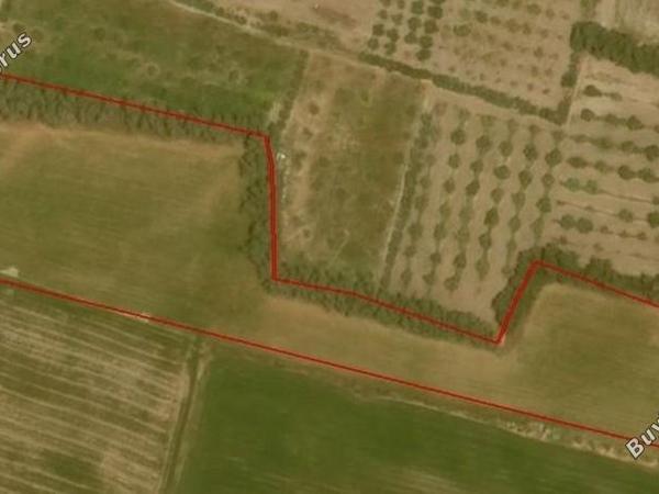 land for sale timi paphos 7738771 image 12564033