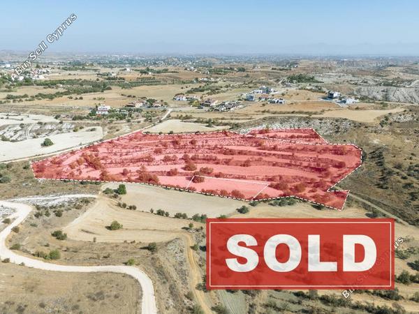 land sold pera orinis nicosia 8791771 image 17037825