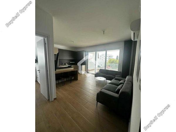 1 bedroom apartment for rent strovolos nicosia 8710871 image 16336098
