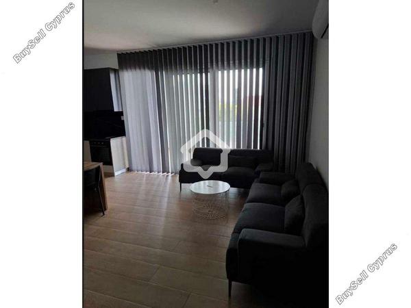 1 bedroom apartment for rent strovolos nicosia 8710871 image 16336099