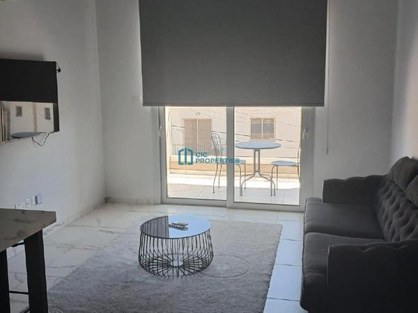 1 bedroom apartment for rent tsakilero larnaca 8745971 image 16564343