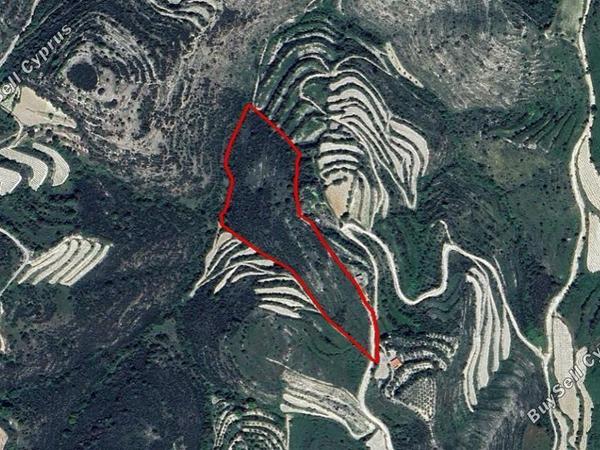 land for sale koili paphos 8629971 image 16210290