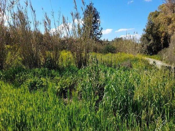 plot for sale agia varvara nicosias nicosia 1061971 image 16159258
