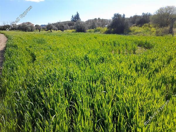 plot for sale agia varvara nicosias nicosia 1061971 image 16159266