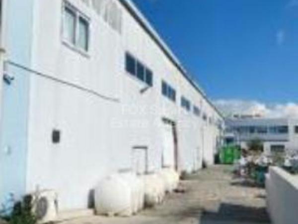 studio warehouse for sale kokkinotrimithia nicosia 1762971 image 12516880