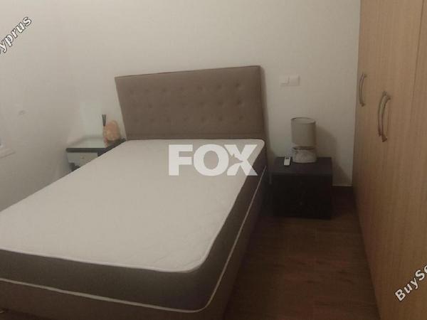 3 bedroom apartment for rent ekali limassol 7771081 image 14599019