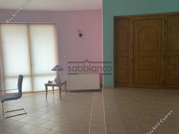 4 bedroom detached house for sale maroni larnaca 8747081 image 16448057